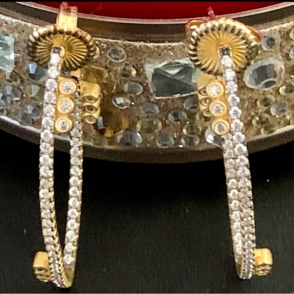 Freida Rothman Authentic Pavé Disc Oval Hoop Earrings - Picture 4 of 10